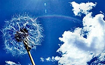 Озонирование, удаление запаха в Алматы Озонирование, удаление запаха в Алматы