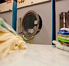 Прачечные услуги