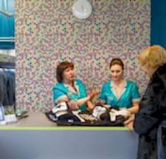 Услуги химчистки